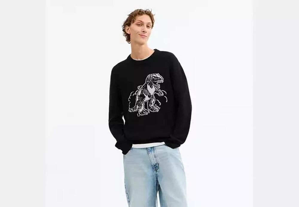 Coach T-Rex Sweater Wool Cashmere Blend Men's Size XXL NWT